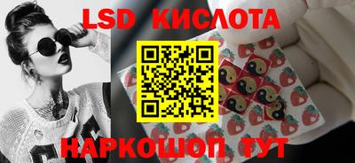 СК Сланцы