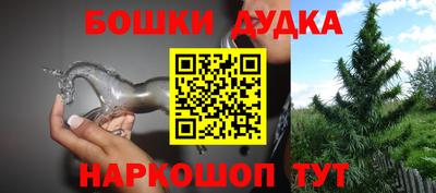 СК Сланцы